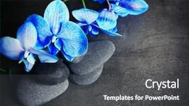  Presentation with dark grey - PPT theme with beautiful spa composition with blue background and a dark gray colored foreground
