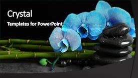  Presentation with blue spa - Audience pleasing PPT theme consisting of beautiful spa composition with blue orchid bamboo and stones backdrop and a black colored foreground