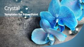  Presentation with blue spa - Audience pleasing theme consisting of beautiful spa composition with blue backdrop and a  colored foreground