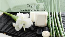  Presentation with white flowers - Audience pleasing slides consisting of beautiful-spa-composition-with-branch backdrop and a mint green colored foreground