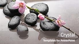  Presentation with spa stones leaves - Beautiful presentation theme featuring beautiful spa composition with wet backdrop and a  colored foreground