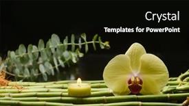  Presentation with fern - Presentation design enhanced with beautiful-spa-composition-with-yellow background and a black colored foreground