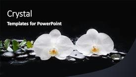  Presentation with spa concept - Colorful presentation design enhanced with beautiful-spa-concept-of-two backdrop and a black colored foreground