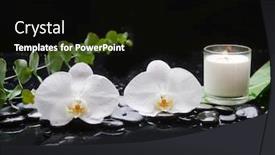  Presentation with eucalyptus - Beautiful slide set featuring beautiful-spa-concept-of-two backdrop and a black colored foreground