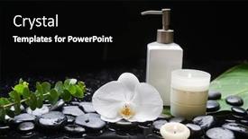  Presentation with eucalyptus - Cool new slide deck with beautiful-spa-concept-of-white backdrop and a black colored foreground