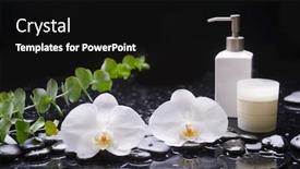  Presentation with spa concept - PPT theme consisting of beautiful-spa-concept-of-white background and a black colored foreground