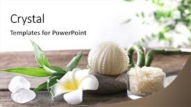  Presentation with spa concept - Beautiful PPT layouts featuring beautiful spa concept on white backdrop and a white colored foreground