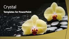  Presentation with stem - Theme having beautiful-spa-setting-bath-spa background and a black colored foreground