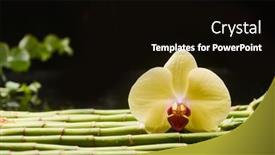  Presentation with stem - Beautiful PPT theme featuring beautiful-spa-setting-of-yellow backdrop and a black colored foreground