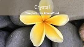  Presentation with spa concept - Presentation with beautiful-spa-setting-of-yellow and a gray colored foreground