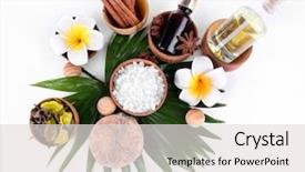  Presentation with spa concept - Audience pleasing PPT theme consisting of beautiful spa setting on palm backdrop and a light gray colored foreground