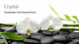  Presentation with spa stones leaves - Presentation design consisting of beautiful-spa-still-life background and a white colored foreground