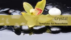  Presentation with black yellow - PPT layouts consisting of beautiful-spa-still-life background and a yellow colored foreground