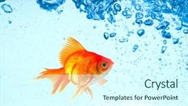  Presentation with clean water - Colorful PPT theme enhanced with beautiful splashes a clean water backdrop and a cool aqua colored foreground