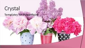  Presentation with beautiful spring flowers - PPT theme with beautiful spring flowers in cups isolated on white background and a lemonade colored foreground