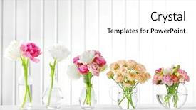  Presentation with beautiful spring flowers - Audience pleasing presentation theme consisting of beautiful spring flowers in glass backdrop and a white colored foreground