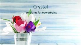  Presentation with beautiful spring flowers - Beautiful PPT layouts featuring beautiful spring flowers in metal backdrop and a sky blue colored foreground