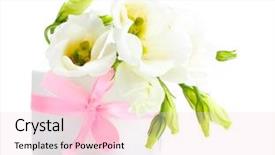  Presentation with beautiful spring flowers - Colorful presentation theme enhanced with beautiful spring flowers in vase backdrop and a lemonade colored foreground