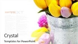  Presentation with flowers vase - Cool new slides with easy removable sample text backdrop and a white colored foreground
