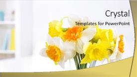  Presentation with jasmine spring flowers - Colorful presentation theme enhanced with beautiful spring flowers in vase backdrop and a  colored foreground