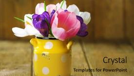  Presentation with beautiful spring flowers - Beautiful slide set featuring beautiful spring flowers in yellow pot on wooden background backdrop and a gold colored foreground