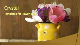  Presentation with beautiful spring flowers - Slide set with beautiful spring flowers in yellow pot on wooden background background and a tawny brown colored foreground