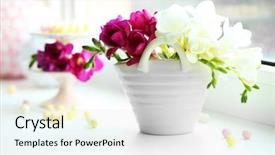  Presentation with beautiful spring flowers - PPT theme enhanced with beautiful spring flowers on windowsill background and a light gray colored foreground