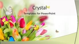  Presentation with spring flowers on textured - Presentation theme featuring beautiful spring flowers with butterflies background and a white colored foreground