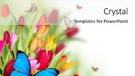  Presentation with butterflies - Beautiful presentation design featuring beautiful spring flowers with butterflies backdrop and a white colored foreground
