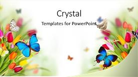  Presentation with beautiful spring flowers - Cool new slide set with pink butterfly - beautiful spring flowers with butterflies backdrop and a white colored foreground