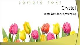  Presentation with spring flowers on textured - Audience pleasing PPT layouts consisting of beautiful spring flowers backdrop and a white colored foreground