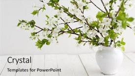  Presentation with flowers vase - Colorful slide deck enhanced with white floral - beautiful spring flowers backdrop and a light gray colored foreground