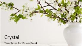  Presentation with flowers vase - PPT theme featuring beautiful spring flowers background and a sky blue colored foreground