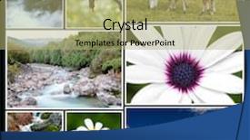  Presentation with rivers - Colorful presentation design enhanced with beautiful spring landscape collage with flowers birds horses rivers backdrop and a mint green colored foreground