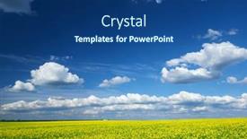  Presentation with rapeseed - 