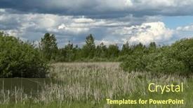  Presentation with swamp - Slide deck consisting of beautiful-spring-meadow-and-swamp background and a tawny brown colored foreground