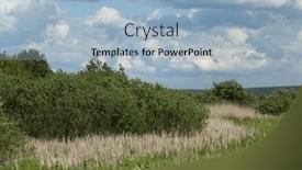  Presentation with swamp - Slide deck consisting of beautiful-spring-meadow-and-swamp background and a light blue colored foreground