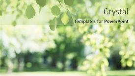  Presentation with beautiful nature - Theme having beautiful-spring-nature-background background and a mint green colored foreground