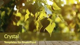  Presentation with forest beautiful spring nature - Cool new slides with beautiful spring or summer season backdrop and a  colored foreground