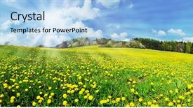  Presentation with dandelion - Slides enhanced with beautiful spring panoramic shot background and a light blue colored foreground
