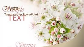  Presentation with pear - Theme consisting of constantin brancusis kissing gate - fisheye view background and a gray colored foreground