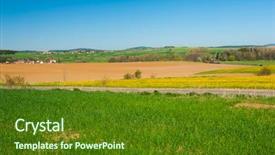  Presentation with dandelion - Presentation theme featuring beautiful spring shot with a dandelion meadow background and a tawny brown colored foreground