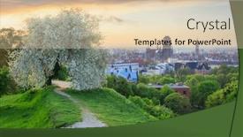  Presentation with spring tree - Presentation design having beautiful-spring-sunrise-over background and a lemonade colored foreground