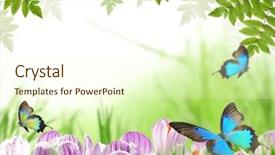  Presentation with theme - Slides having natural themes - beautiful spring theme background and a cream colored foreground