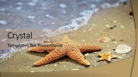  Presentation with starfish - Cool new PPT theme with beautiful starfish on sandy beach backdrop and a coral colored foreground