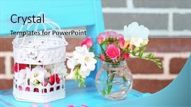  Presentation with pink roses - Presentation theme with beautiful still life with small pink roses and freesia flowers background and a arctic colored foreground