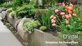  Presentation with tulips - Theme enhanced with beautiful-stone-wall-retaining-garden background and a gray colored foreground