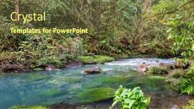  Presentation with forest stream - Audience pleasing slide set consisting of beautiful stream water flowing down in rain forest costa rica central america backdrop and a tawny brown colored foreground
