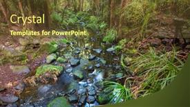 Presentation with forest stream - Amazing slide deck having beautiful-stream-water-flowing-down backdrop and a tawny brown colored foreground