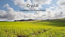  Presentation with sugar cane - PPT theme with beautiful sugar cane field background and a light blue colored foreground